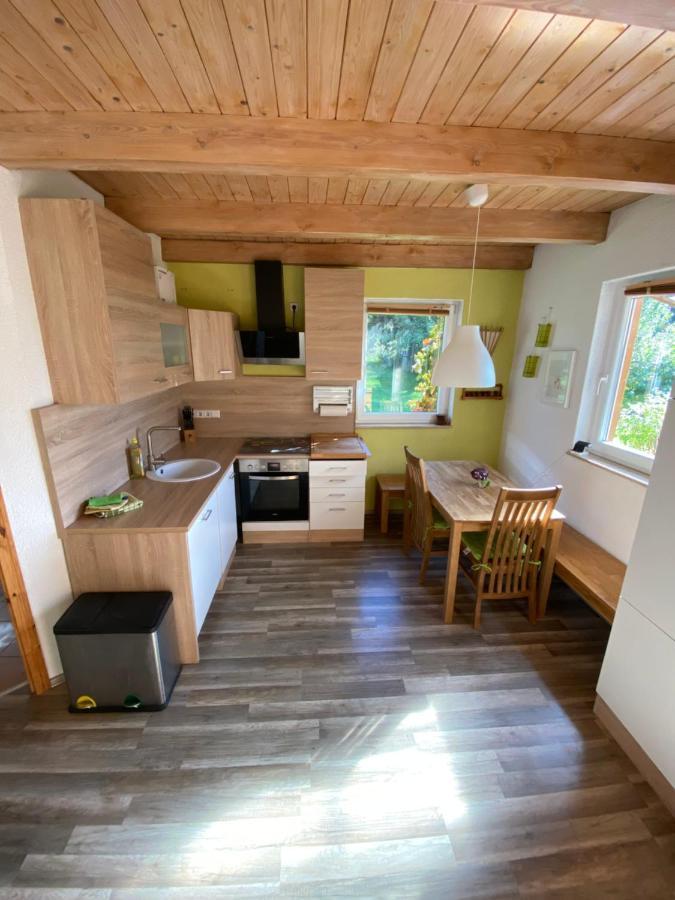 Ferienhaus "Am Bergblick" زبنيتس المظهر الخارجي الصورة