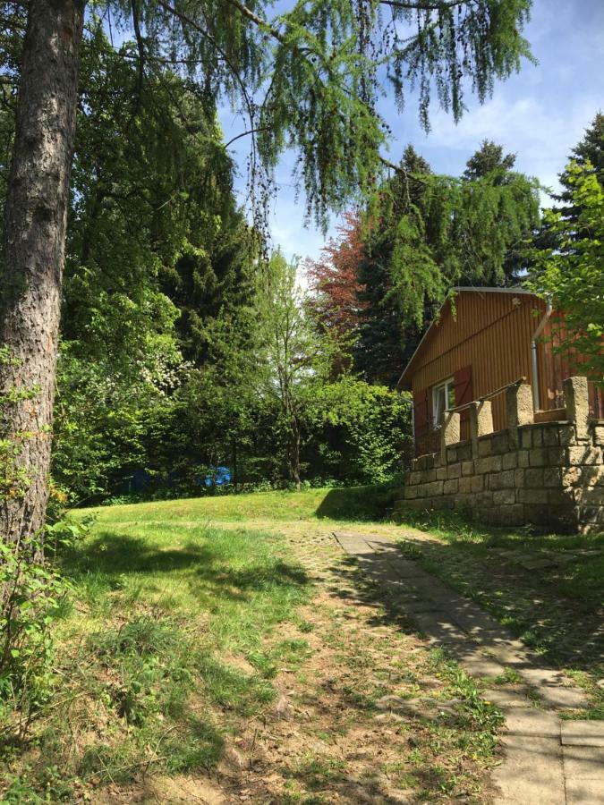 Ferienhaus "Am Bergblick" زبنيتس المظهر الخارجي الصورة